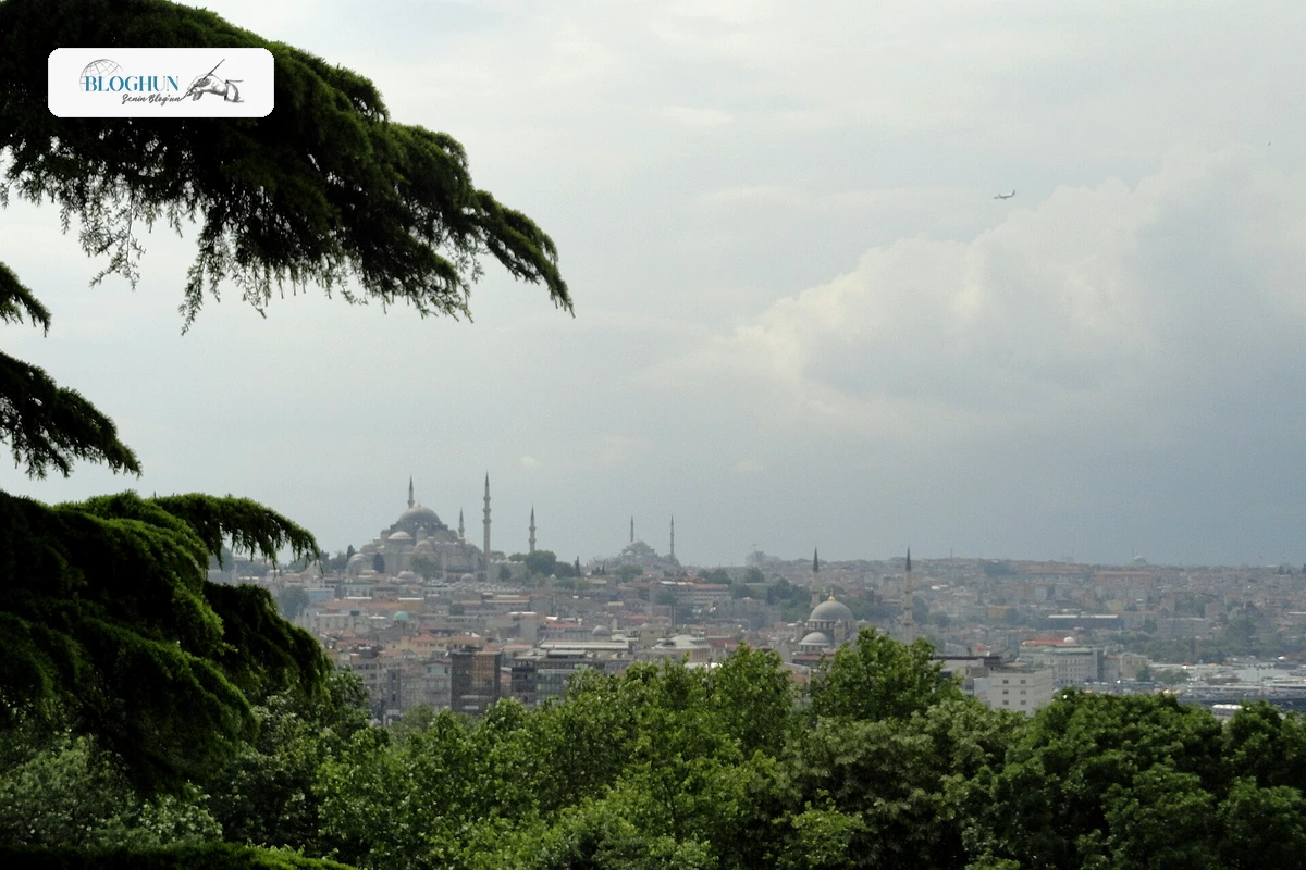 Cenaze Namazı Nasıl Kılınır Kimler Kılabilir