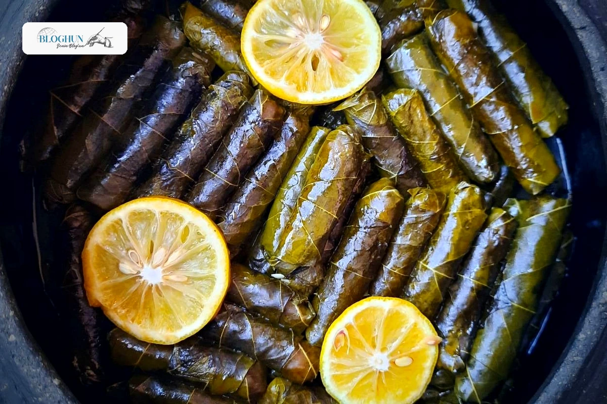 Dağılmayan Zeytinyağlı Yaprak Sarma Nasıl Yapılır
